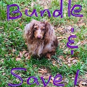 🐾🐾BUNDLE & SAVE!🐾🐾